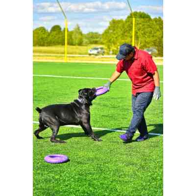 Игрушка для собак Puller Maxi 30 см (6492) Винница