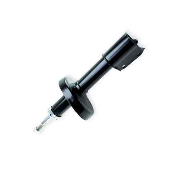 Амортизатор Renault Clio II 1.9D (масло) 98-передній Мукачево