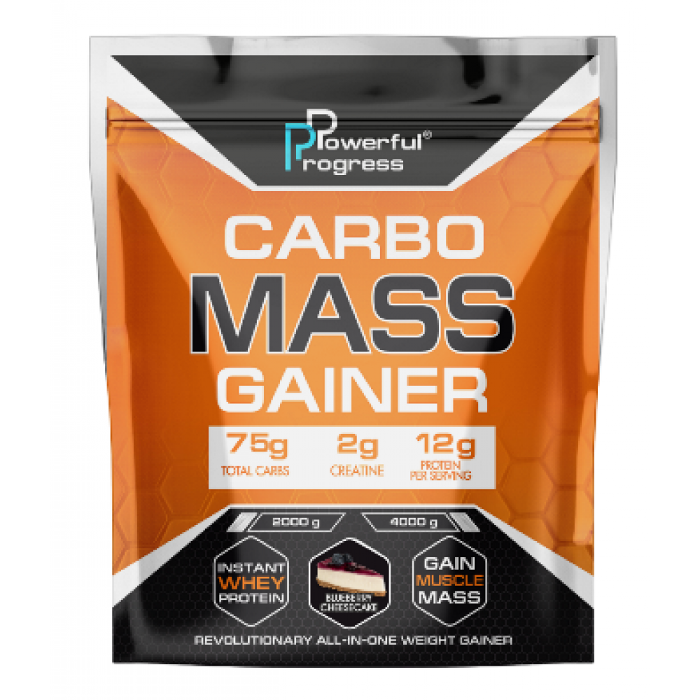 Carbo Mass Gainer - 4000g Blueberry Cheesecake Луцьк - фото 1