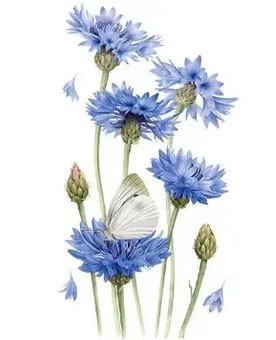 Термонаклейка аплікація для одягу Васильки Київ - фото 1