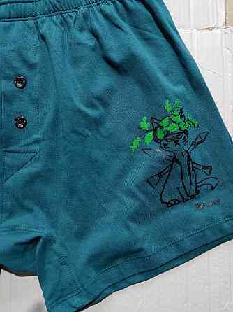 Чоловічі труси сімейні з бавовни Lans 01/021 L, Зелений Киев