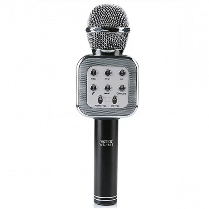 Мікрофон DM Karaoke WS 1818 Київ - фото 1