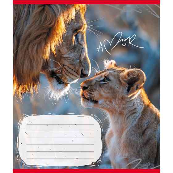 Тетрадь ученическая 