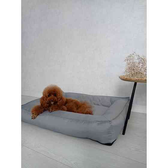 Водонепроникний лежак лежанка спальне місце для тварин зі знімним чохлом сірий S (60см) Київ
