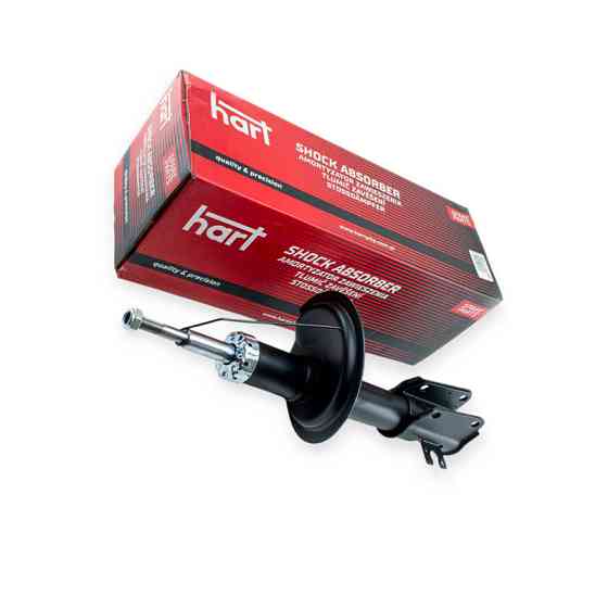 Амортизатор передний Fiat Scudo-Peugeot Expert 220 (95-06) газ. Мукачево