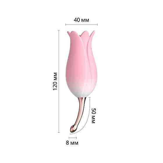 Ультразвуковий вібратор для клітора Otouch Bloom Ultrasonic Clitoris, 2 доп насадки Sex Aura Київ