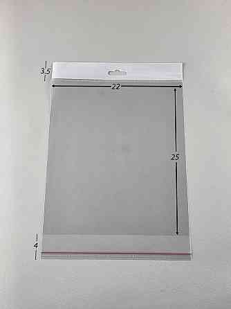 Пакет з еврослотом і липкою стрічкою 22см 25см (1000шт) Харків