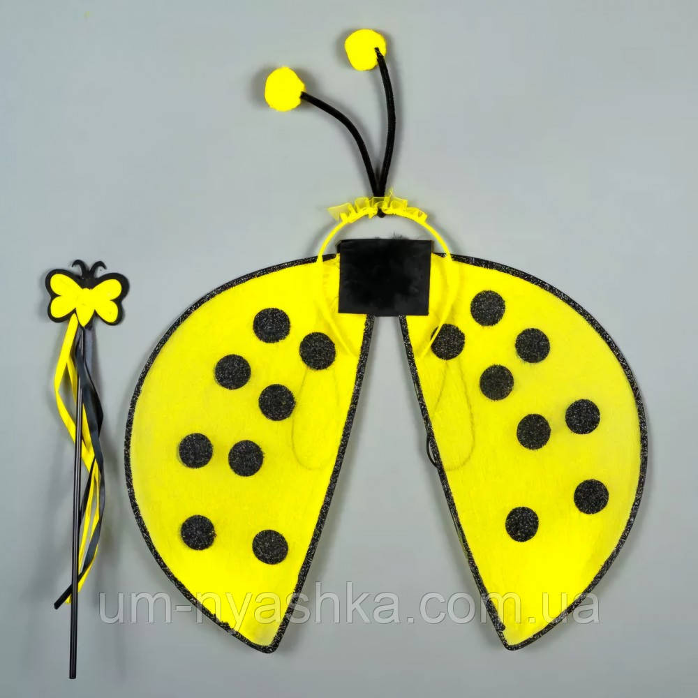 Дитячий карнавальний комплект Бджілки Кривий Ріг - фото 1