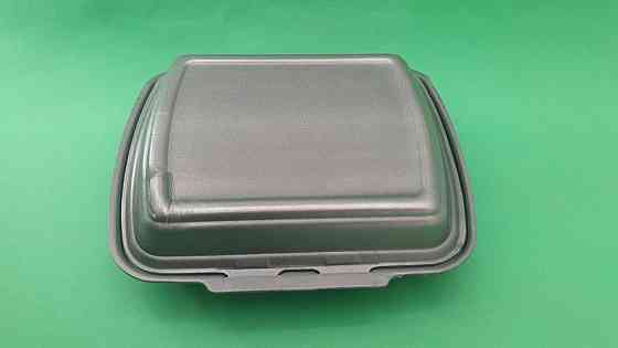 Ланч-бокс з спіненого полістиролу з кришкою 250*210*70 Чорний HP-1 125 шт/уп Харків