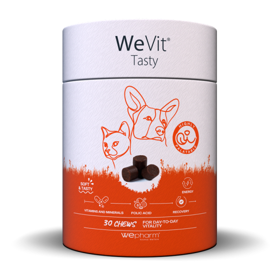 Вітамінно-мінеральний комплекс Wepharm WeVit Tasty Віфарм ВіВіт Тейсті для кішок і собак, 30 пастилок Вінниця