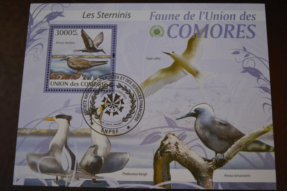 Марки. Фауна. Блок. 2009 год (Б-8) Полтава - изображение 1