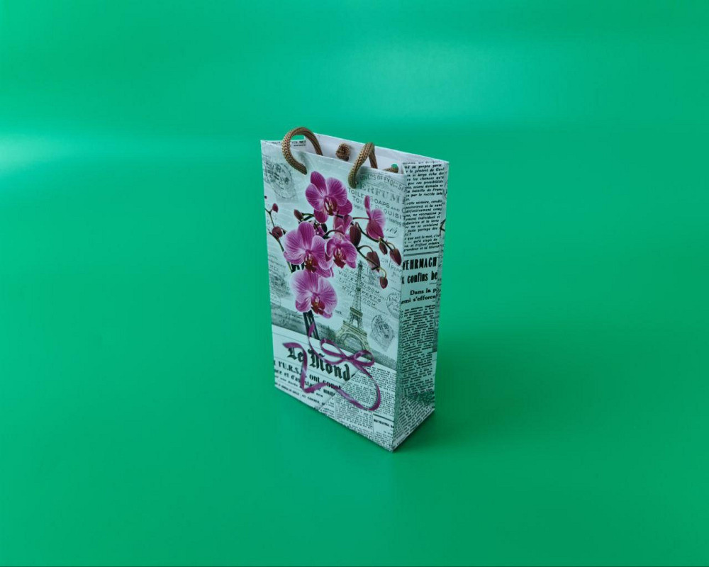 Пакет паперовий подарунковий малий 11/18/5 (арт М110) (12 шт.) Харків - фото 1