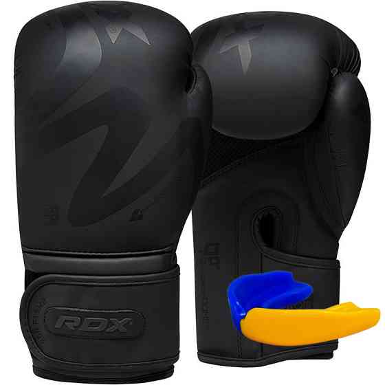 Професійні боксерські рукавички для боксу та єдиноборств RDX F15 Noir Matte Black 10 унцій + КАПА Київ