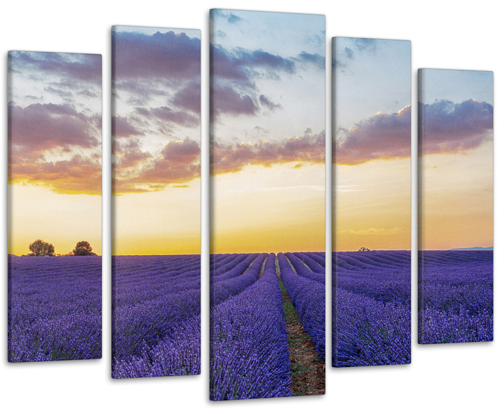 Модульна картина у вітальню / спальню Лавандове поле Світанок Art-391_5 ( 80х118см ) Київ - фото 1