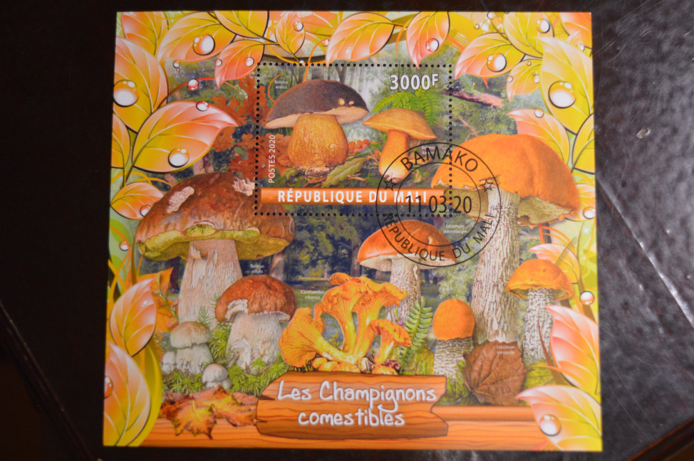 Малі. Марки. Фауна. Блок. 2020 рік (В-1) Полтава - фото 1