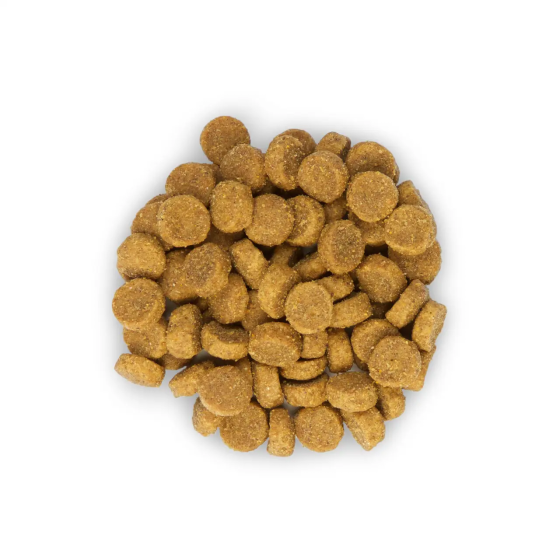 Hills Science Plan Feline Adult 1-6 Chicken (Хіллс CП Філайн Едалт 1-6 Курица) для дорослих котів 1-6 років 15 кг. Запоріжжя