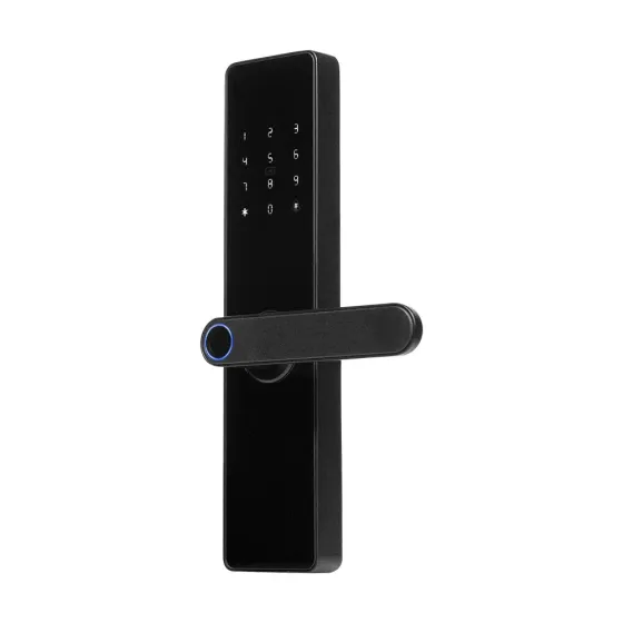 Замок біометричний автономний Trinix TRL-5101F Black L/R зі зчитувачем відбитків пальців і карт Mifare (65-00077) Київ