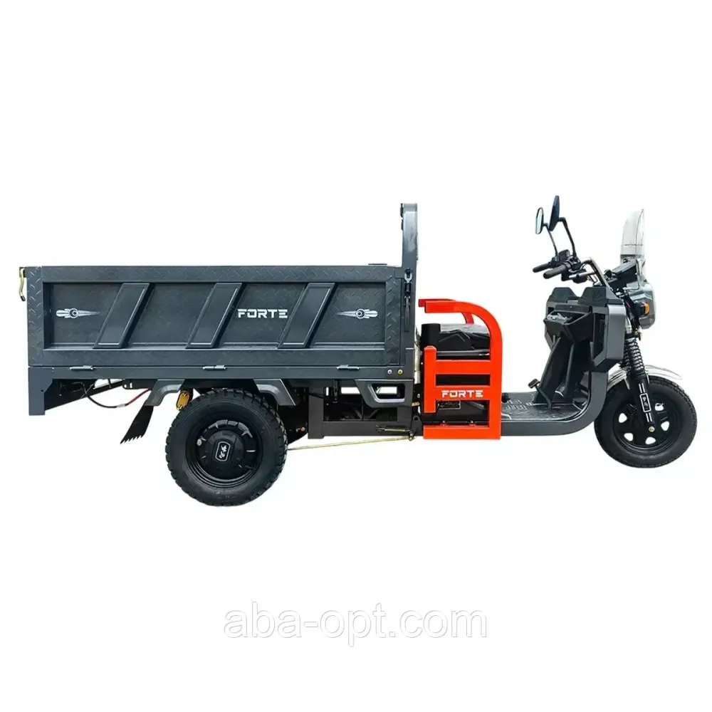 Вантажний електричний трицикл FORTE GP-1200W-60V-45Ah шини 12'/12" купити дешево Україна Одеса - фото 1