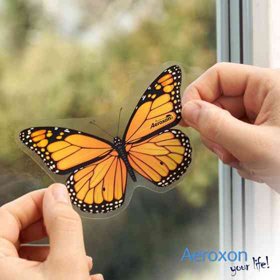 Приманка для мух Aeroxon Бабочки, 4 шт Киев
