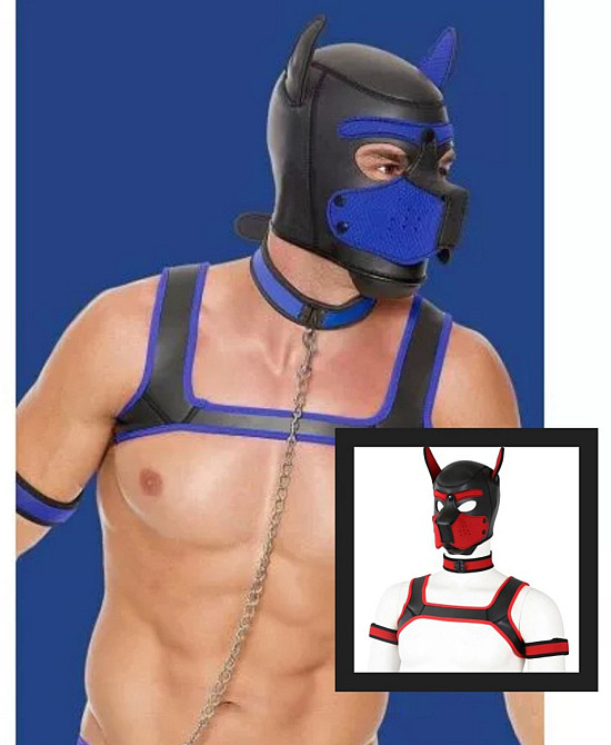 Маска собаки БДСМ (Б клас) 25675 Луцьк - фото 1