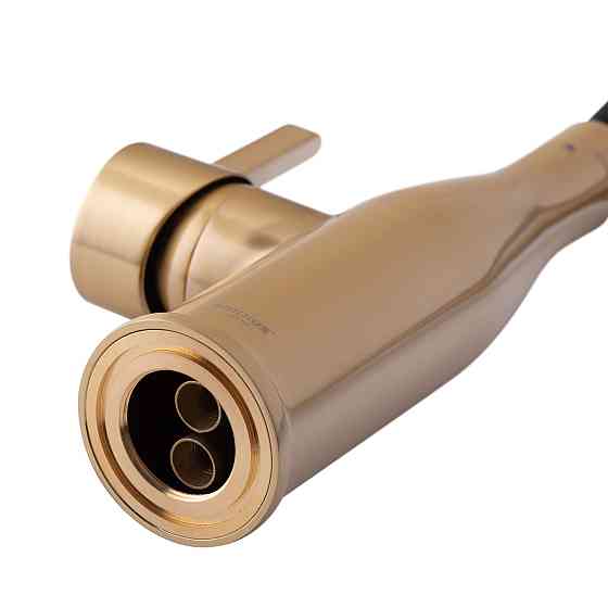 Змішувач для кухні Mixxus Premium Summer 017 BRUSHED GOLD REFL.BLACK   ( MI6964 ) 22465 Харків