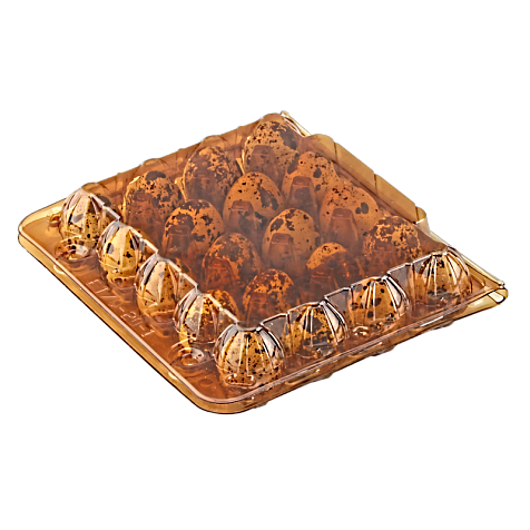 Упаковка для перепелиных яиц 20 ячеек коричневая квадратная ПЭТ (50 шт) — прочная тара для хранения и перевозк Харьков