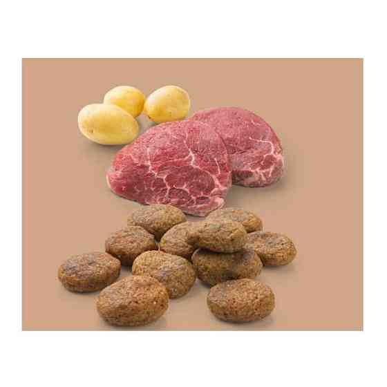 MERA Pure Sensitive fresh meat Rind Kartoffel (Мера Фреш Міт Яловичина Картопля) беззерновий корм для собак Запоріжжя