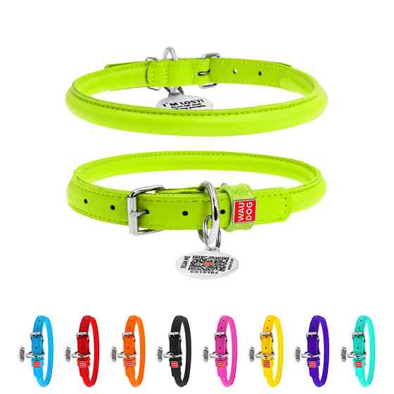 Нашийник для собак шкіряний WAUDOG Glamour з QR паспортом, круглий, Д 13 мм, Дов 45-53 см салат Коломыя