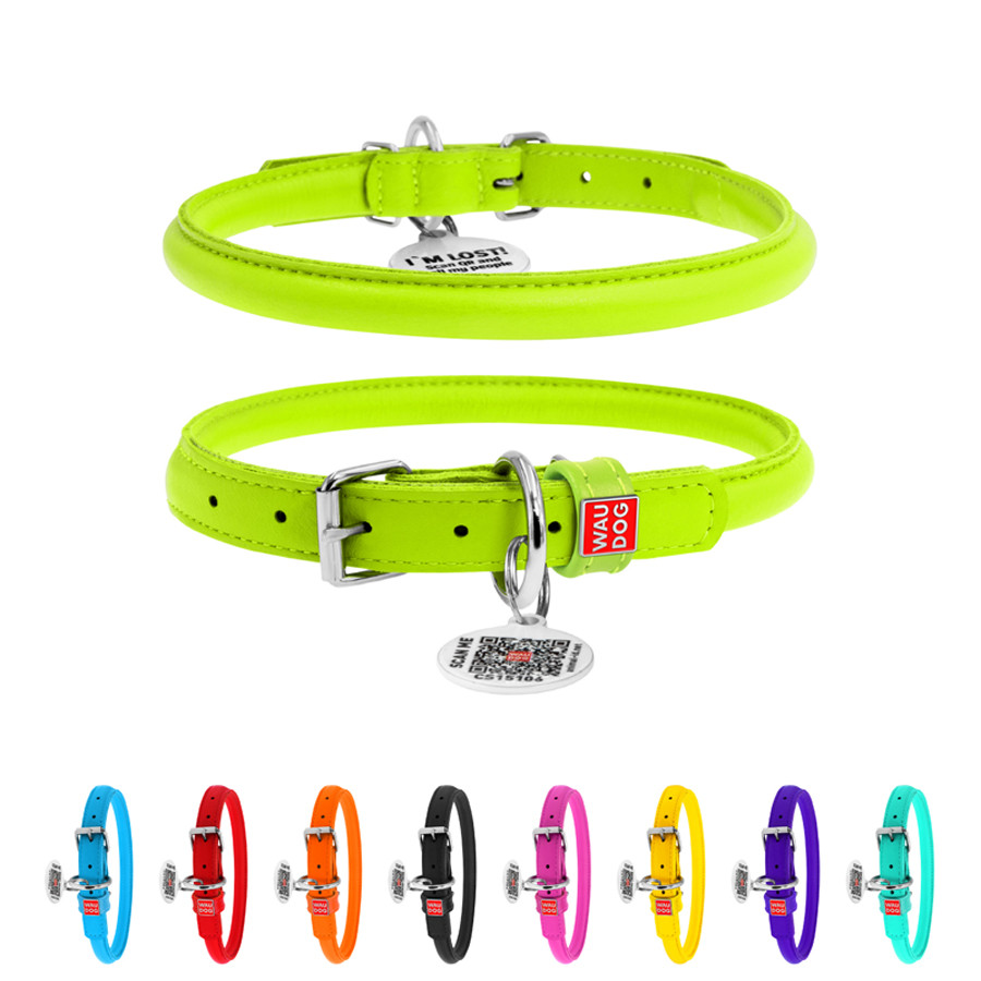 Нашийник для собак шкіряний WAUDOG Glamour з QR паспортом, круглий, Д 13 мм, Дов 45-53 см салат Коломыя - изображение 1