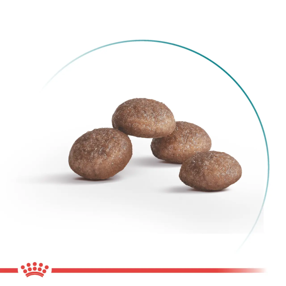 Royal Canin Sterilised 11+ (Роял Канін Стерелайзд 11+) сухий корм для стерилізованих кішок від 11 років Запоріжжя