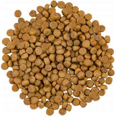 Сухой корм для кошек Savory Adult Cat Gourmand Fresh Salmon and White Fish 400 г (4820232630013) Винница