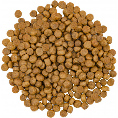 Сухой корм для кошек Savory Adult Cat Gourmand Fresh Salmon and White Fish 400 г (4820232630013) Винница - изображение 5