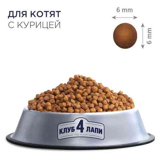 Club 4 Paws (Полуб 4 Лапи) Premium Kitten Chicken сухий корм із куркою для кошенят 5 кг Запоріжжя