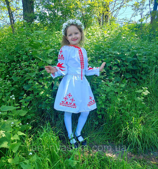 Платье вышиванка белое с ласточками 104-158 Кривой Рог - изображение 1