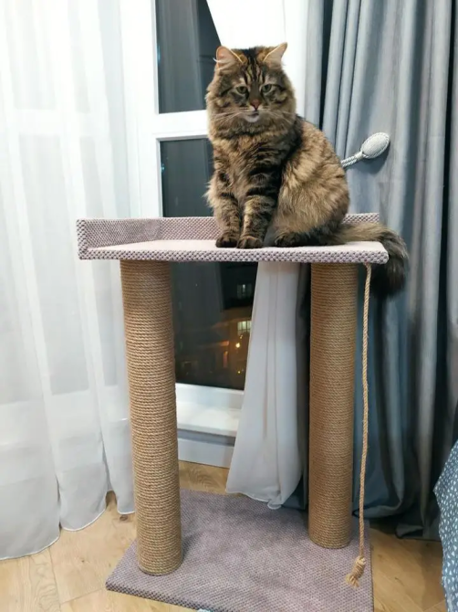 Когтеточка-башня, большая когтеточка 95*60*40 см с лежанкой для больших котов и Мейн-кунов Киев - изображение 1