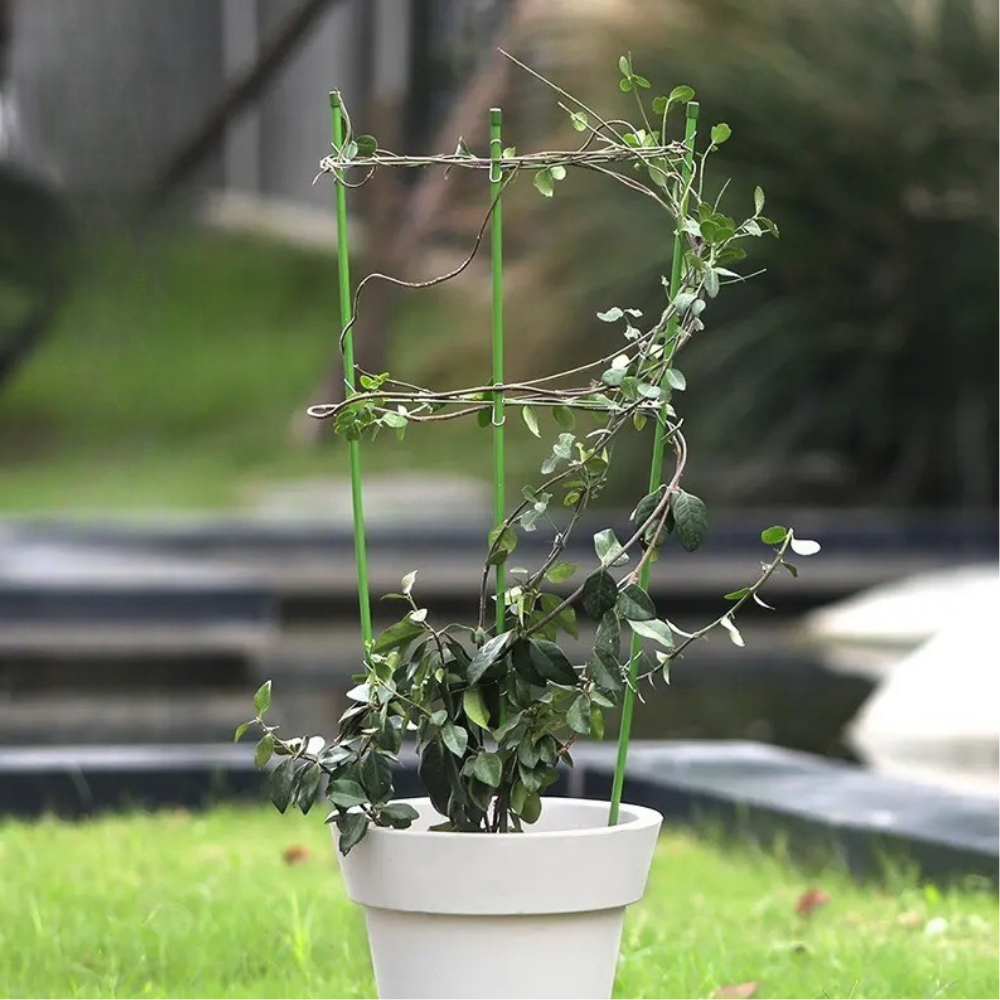 Опора кольцевая для комнатных и садовых высокорослых цветов,растений и рассады с 3 кольцами размер 60х22 см Каменец-Подольский - изображение 7