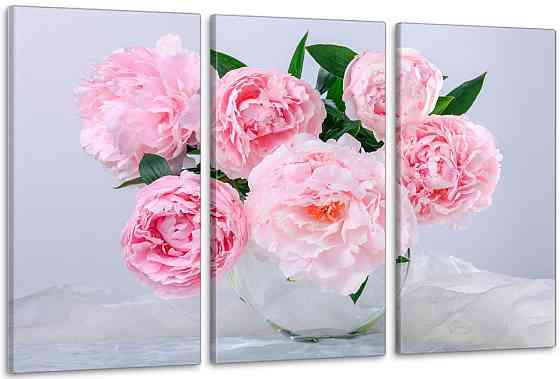 Модульная картина в гостиную / спальню   Піони  ART-221_3A 100х150 см Киев