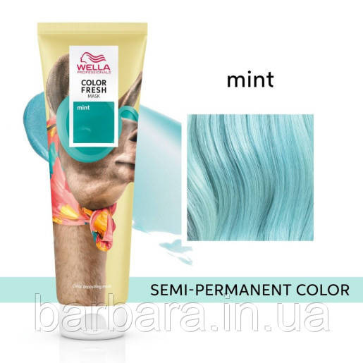 Тонуюча маска Wella COLOR FRESH (всі віддінки +2024) Mint Мята Киев - изображение 1