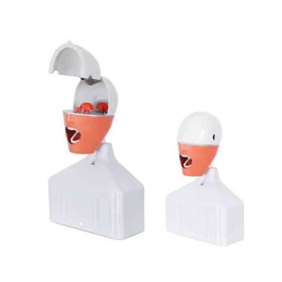Фантом голова (стоматологічна модель тренувальна) SD — 02 AK PRODENT PHANTOM HEAD WITH TORSO Дніпро