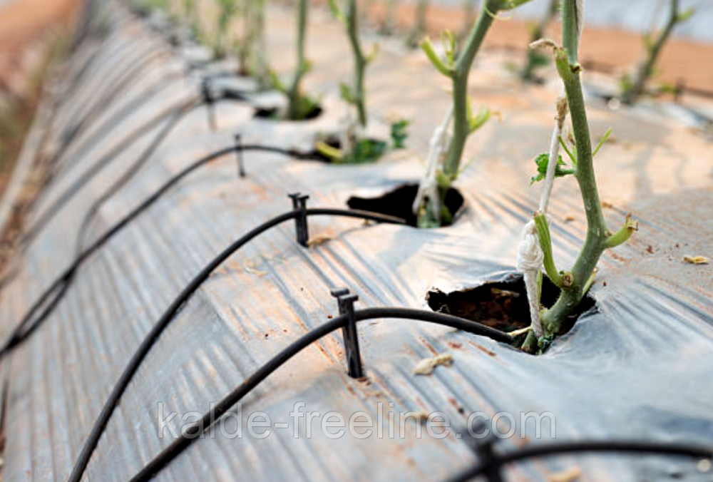 Спиця для крапельниць Presto-PS (MS-0137) Харьков - изображение 2