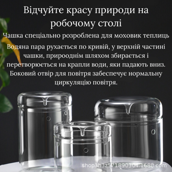 Емкость для флрариума, мосариума, бонсай 1.55 л 15 х 11 см Одесса