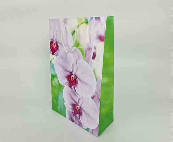 Пакет бумажный гигант вертиркальный (30х42х12)(артGV-078) (12 шт) Харьков