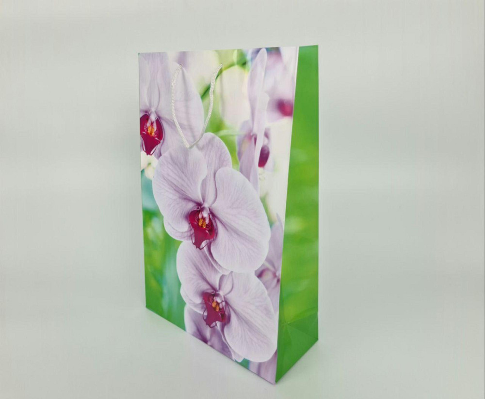 Пакет бумажный гигант вертиркальный (30х42х12)(артGV-078) (12 шт) Харьков - изображение 2