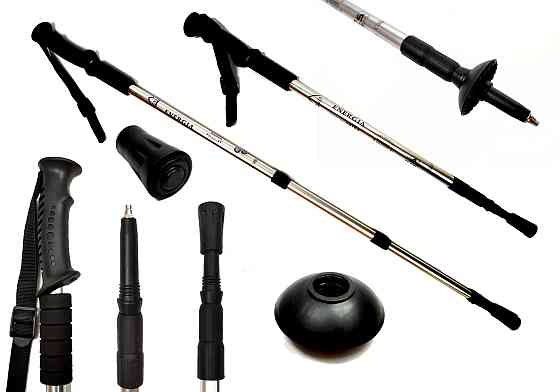 Палиця для скандинавської ходьби EasyFit Energia сіра Коломия