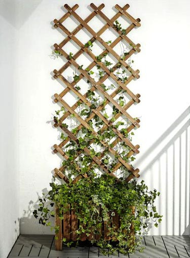 Кашпо зі шпалерою "Курто" мускат Миколаїв - фото 1