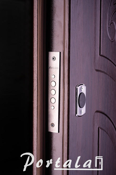 Двери уличные, серия Элегант, модель Рассвет, гнутый профиль, 2 контура уплотнения, 2 замка Киев - изображение 5