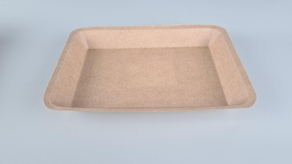 Лоток з харчового картону "KRAFT" 550 мл 250 *175*25 (25 шт) Харків - фото 3