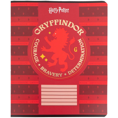 Зошит Kite Harry Potter, 18 аркушів, клітинка (HP25-236) Вінниця - фото 9