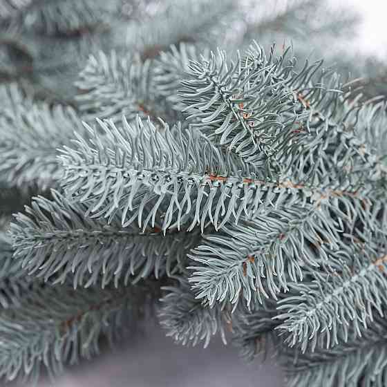 Штучна гірлянда Хвоя 2 м блакитна, новорічна гірлянда лита реалістична Преміум KOS-HVO2 Київ