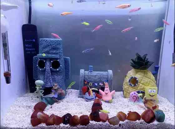 Декор для аквариума с мультфильма Губка Боб 6 фигурок пластик разноцветный Киев